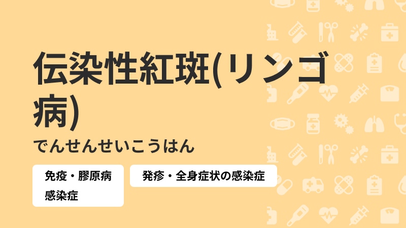伝染性紅斑(リンゴ病)|病気症状ナビbyクラウドドクター